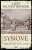 Synové - Lion Feuchtwanger