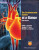 The Cardiovascular System at a Glance - Jeremy P.T. Ward,Philip I.  Aaronson,Michelle J.  Connolly