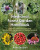 The Medicinal Forest Garden Handbook - Anne Stobart