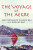 The Voyage of The Aegre - Nicholas Grainger