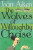The Wolves Of Willoughby Chase - Joan Aiken