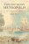This Southern Metropolis â€“ Life in Antebellum Mobile - Mike Bunn