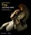 Troy: myth and reality - Alexandra Villing,J. Lesley Fitton,Victoria Donnellan,Andrew Shapland