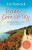Under a Cornish Sky - Liz Fenwick