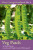 Veg Patch - Mark Diacono