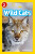 Wild Cats - Carney Elizabeth,National National Geographic Kids
