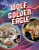 Wolf vs Golden Eagle - Lisa M. Bolt Simons