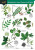 Woodlands: trees, flowers and fungi - Rebekah Trehern