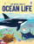 Young Adventurers: My Book About Ocean Life - Eliza Jeffery