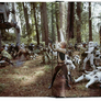 The Star Wars Archives. 1977–1983. 40th Ed.8