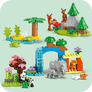 Rodinky divokých zvířat 3 v 1 - Lego Duplo (10446) 6