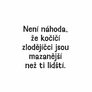 Proč si vaše kočka myslí, že jste idiot 4