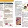 Biologie v souvislostech 1 6