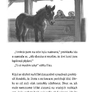 Poníci z Lillasundu – Spřízněné duše 5