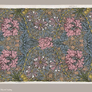 Morris Pink Honeysuckle_Design1