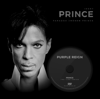 Prince - Paradox jménem Prince - Glenda Nevill,Lucinda Jordaan