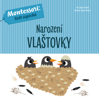 Narození vlaštovky - Chiara Piroddiová