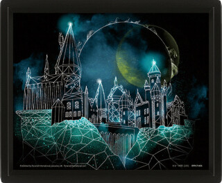 Harry Potter Obraz 3D - Bradavice - 