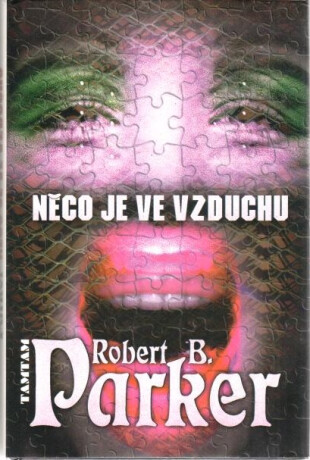 Něco je ve vzduchu - Robert B. Parker