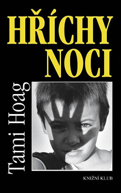 Hříchy noci - Tami Hoag