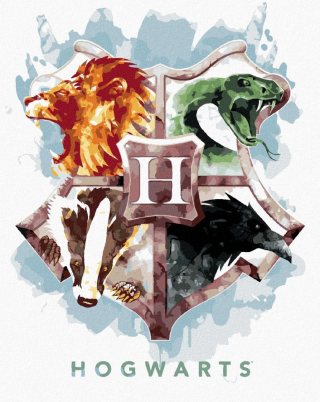 Malování podle čísel - ERB S BRADAVICKÝMI KOLEJEMI (HARRY POTTER) - 