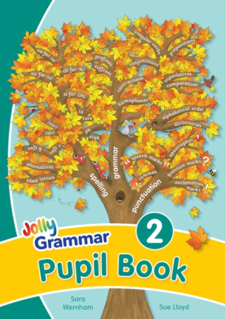 Grammar 2 Pupil Book - Sara Wernham,Sue Lloyd