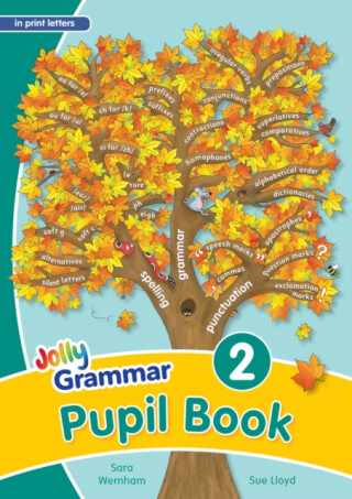 Grammar 2 Pupil Book - Sara Wernham,Sue Lloyd