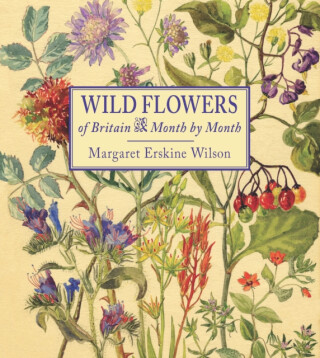 Wild Flowers of Britain - 
