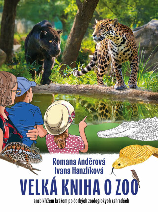 Velká kniha o zoo - Romana Anděrová,Ivana Hanzlíková