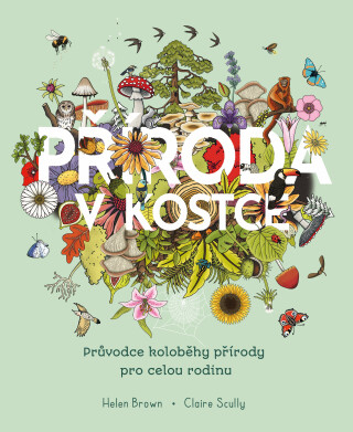 Příroda v kostce - Claire Scullyová,Helen Brown