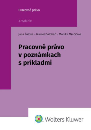 Pracovné právo v poznámkach s príkladmi - Jana Žulová,Marcel Dolobáč,Monika Minčičová