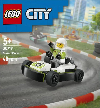 LEGO® Závodník v motokáře - -