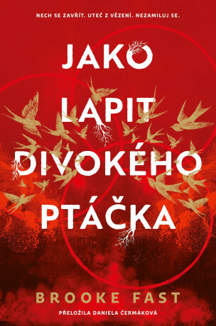 Jako lapit divokého ptáčka - Brooke Fast