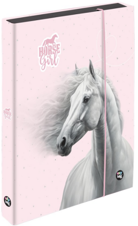 Box na sešity A5 Jumbo, kůň romantic - 