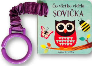 Čo všetko videla sovička Knižka do kočíka - 
