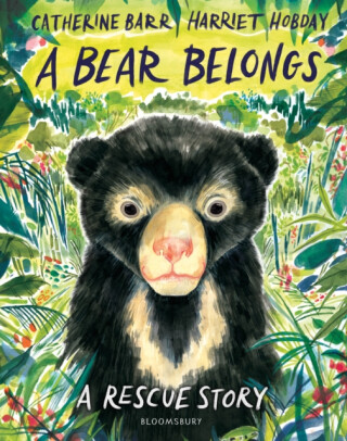 Bear Belongs - Catherine Barr