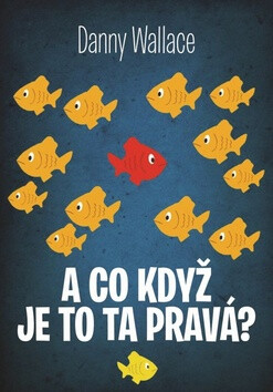 A co když je to ta pravá? - Danny Wallace