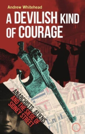 A Devilish Kind of Courage - Andrew Whitehead