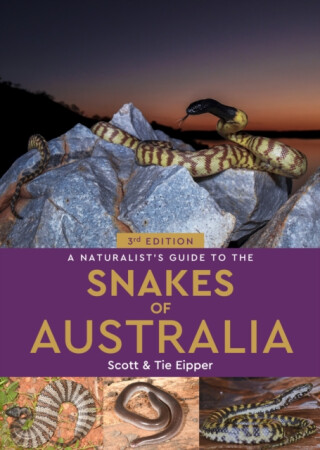A Naturalist's Guide to the Snakes of Australia - Scott Eipper,Tie Eipper