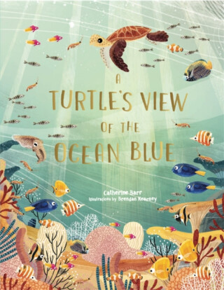 Turtle''s View of the Ocean Blue - Catherine Barr