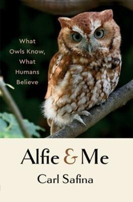 Alfie and Me - Carl Safina