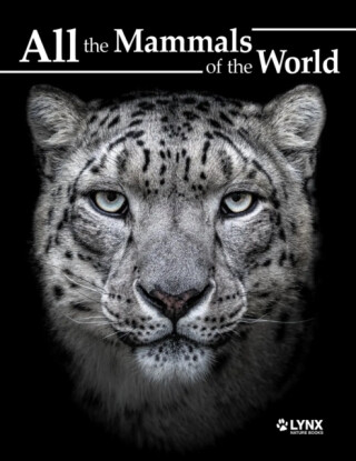 All the Mammals of the World - 