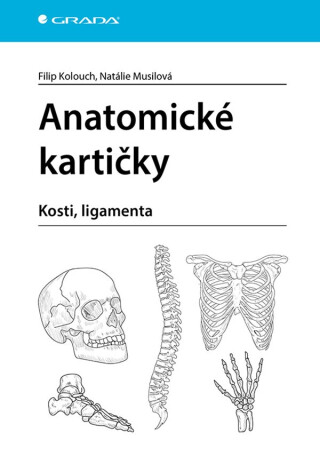 Anatomické kartičky - Kolouch Filip,Musilová Natálie
