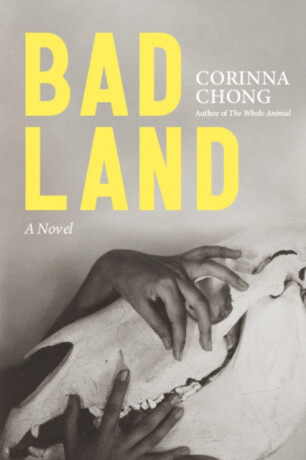 Bad Land - Corinna Chong