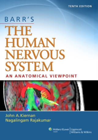 Barr's The Human Nervous System: An Anatomical Viewpoint - John, MB, ChB, PhD, DSc Kiernan,Raj Rajakumar