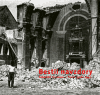 Bestii navzdory - 