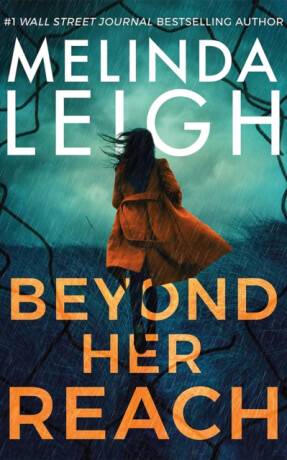 Beyond Her Reach - Melinda Leigh
