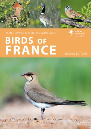 Birds of France - James Lowen,Aurelien Audevard