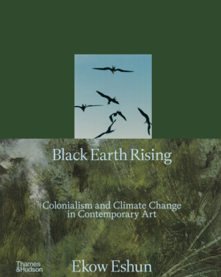 Black Earth Rising - Ekow Eshun