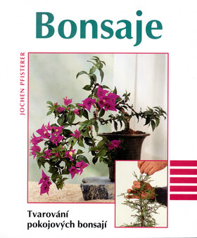 Bonsaje Tvarování pokojových bonsají - Jochen Pfisterer,Jürgen Stork,György Jankovics